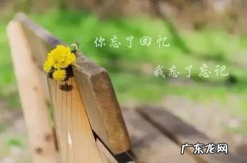 小米经典文案感动人心 经典感动人心的说说