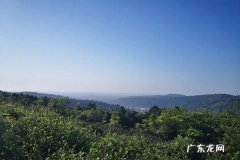 有什么偏行好做？想赚钱不可以错过的行业！