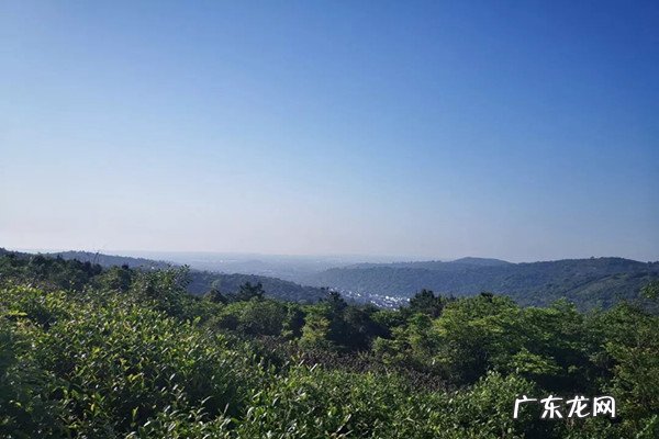 有什么偏行好做?想赚钱不可以错过的行业!