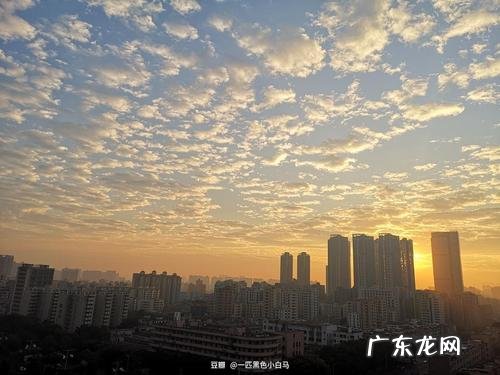 清晨醒来怎么描述 城市的清晨是怎么描述的