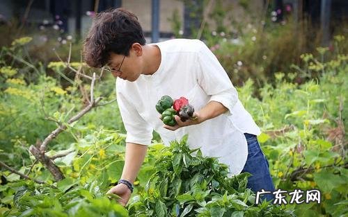 返乡创业做什么好?哪些比较有优势?