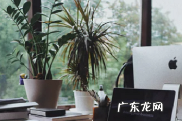 亚马逊投诉电话多少?被侵权怎么处理?