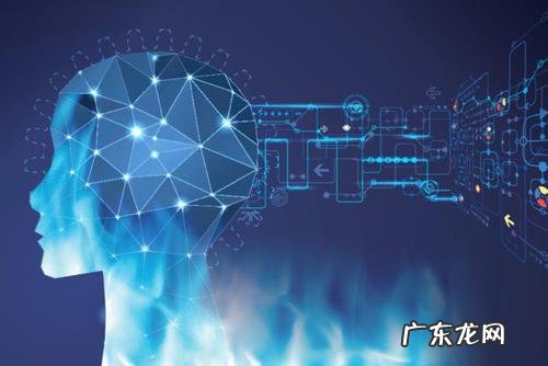 20岁没学历学什么技术？哪些有前景？