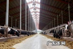 注册一个养殖公司需要多少钱？如何开？