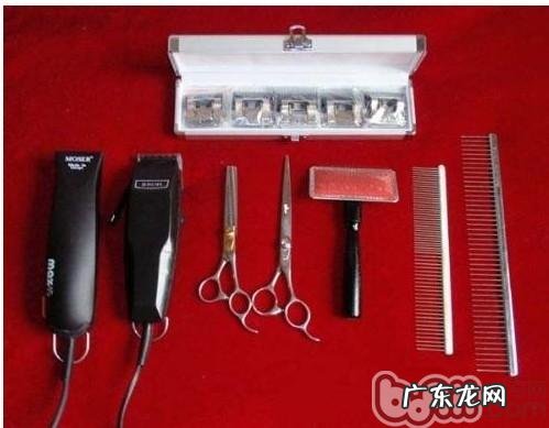 狗狗美容必需的美容护肤专用工具