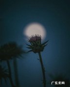 一个人住院的朋友圈怎么发 一个人独居怎么发朋友圈