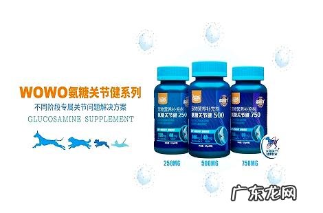 宠物狗狗骨节疼痛怎么办？WOWO氨基葡萄糖骨节健有话说