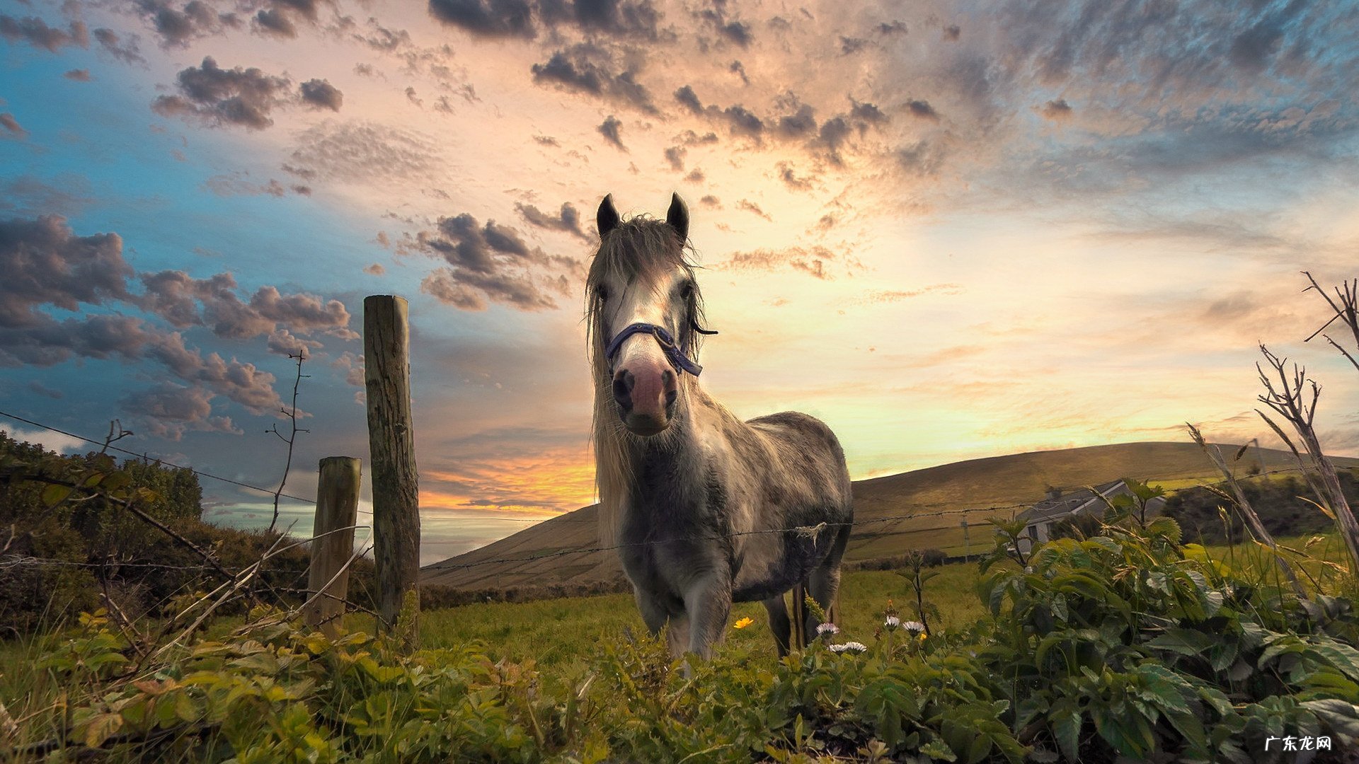 喝牛奶燕麦粥有什么好处,哪种人不适合喝