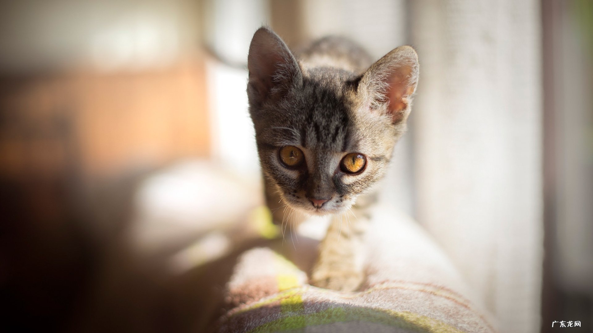 长期转呼啦圈只朝一个方向转是不是对身体不好啊?