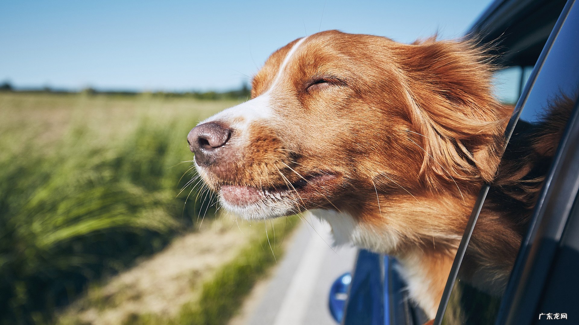 看看当今的市场,你还相信价值投资吗,为什么?