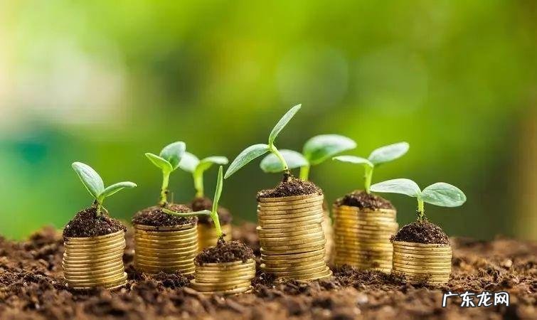 适合单干的暴利行业有哪些?做什么好?