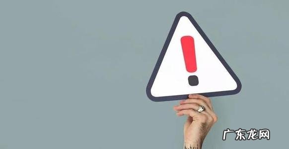 新手养什么比较挣钱?什么最适合新手养?