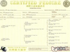 教大伙儿看懂血统证书上的英文标明