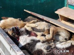 养动物是一辈子的服务承诺