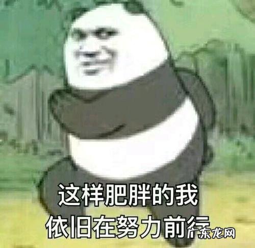 突然感觉心态崩了 感觉心态要崩了