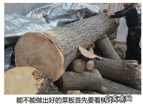 银杏树木材有什么用途 银杏木材用途