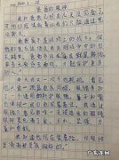 保护眼睛二年级作文200字 我的眼睛作文200字