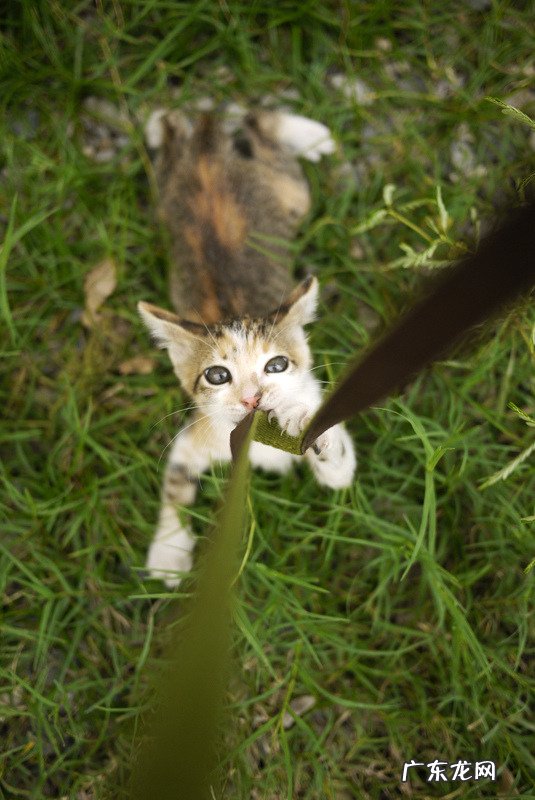 关于健身房减肥的事宜,推销减肥药的别来,投诉到底奥!