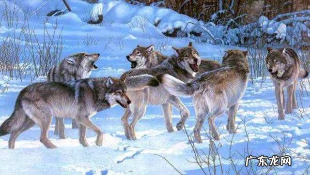 中国电影排行榜前十名 2002年至今，历年小说排行榜前十名都有哪些？最受欢迎的小说排行榜