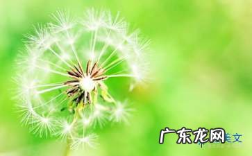 蒲公英观察日记300字 蒲公英描写观察日记200字