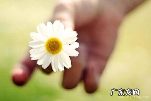 幼儿园放假朋友圈说说心情短语 幼儿园冬天的说说心情短语