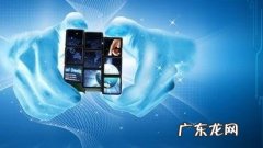 淘宝店铺怎么开通阿里钱盾？如何操作？