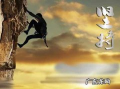 淘宝坚持补单会增加搜索流量吗？如何提升流量？