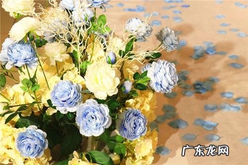 现代小说打斗场景描写 现代小说奢华婚礼场景描写