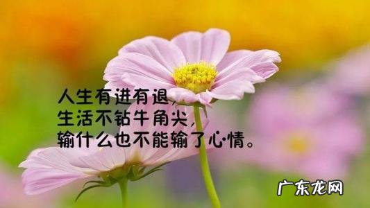 最有哲理经典精辟的人生感悟