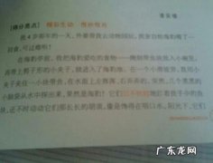 短作文300字左右 短作文150字左右