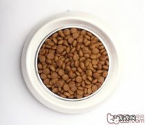 犬粮中非常容易被忽视缺乏的成分
