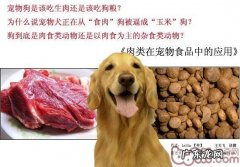 狗是肉制品类动物還是以肉制品为主导的杂食类动物