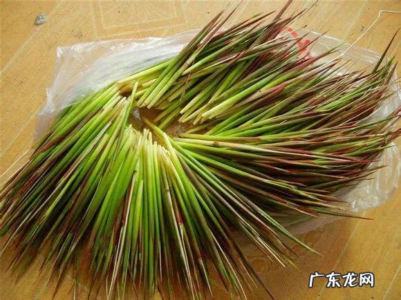 70、80、90后的你,小时候都吃过哪些野生的植物和果实