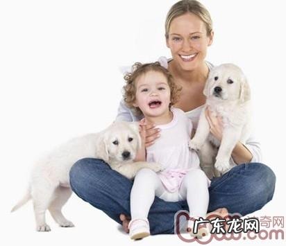 家中科学研究喂养小宠物之消毒杀菌的必要性