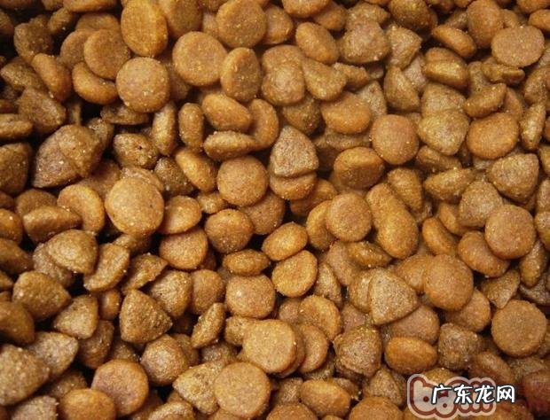 怎样为宠物狗狗选择高品质的食材