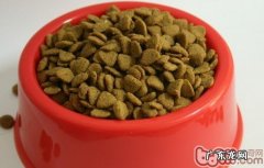 犬粮泡着吃营养成分是否会外流