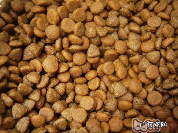 从成份使用说明就能看得出犬粮的好与坏