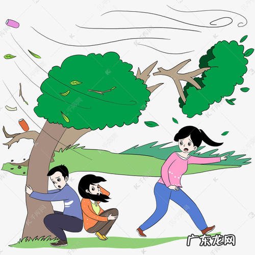 刮风时的情景写一段话 用一段话描写刮风的情景