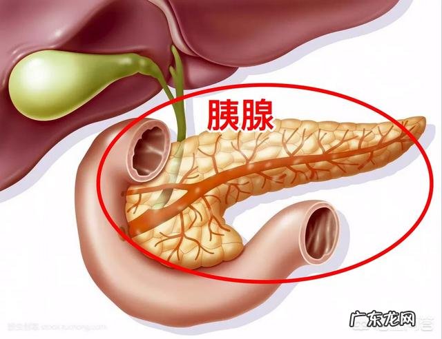 糖尿病,形成的大概原理,机制,是什么?是不是吃糖过多~?~?