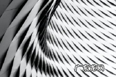 shopify是属于什么模式？有几种模式？