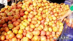 摆地摊卖什么最赚钱？ 农村宝妈在家创业，摆地摊做什么好呢？