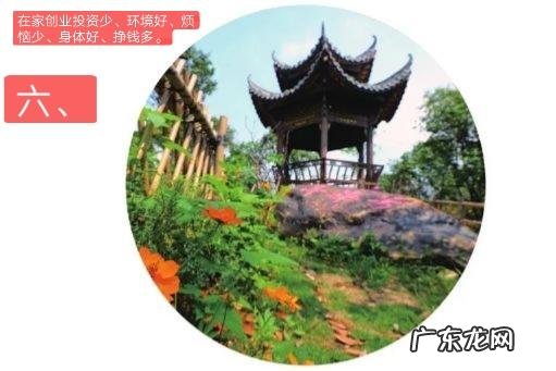 适合老人在农村做的生意? 农村一老人在家,你是选择在家创业,还是在外创业?