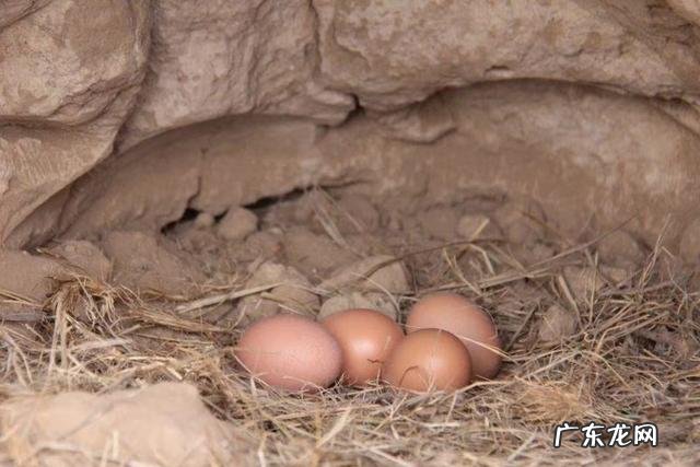 适合老人在农村做的生意? 农村一老人在家,你是选择在家创业,还是在外创业?