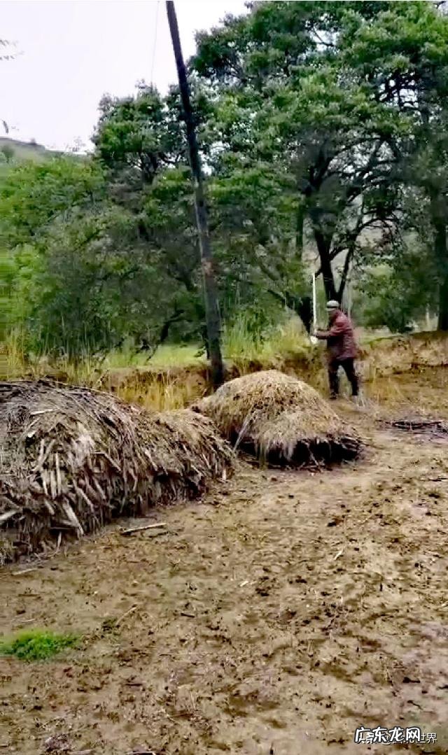 适合老人在农村做的生意? 农村一老人在家,你是选择在家创业,还是在外创业?