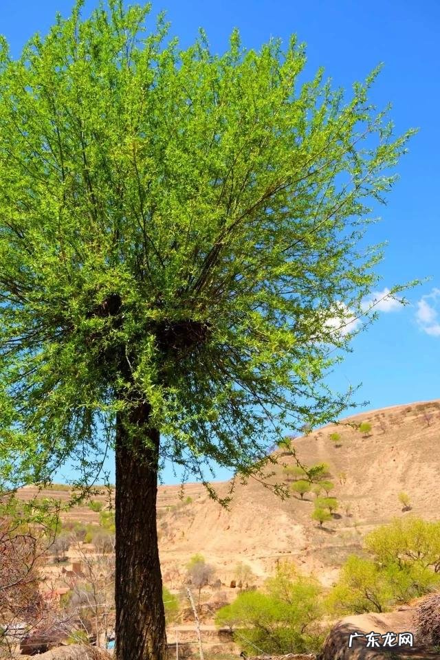 适合老人在农村做的生意? 农村一老人在家,你是选择在家创业,还是在外创业?