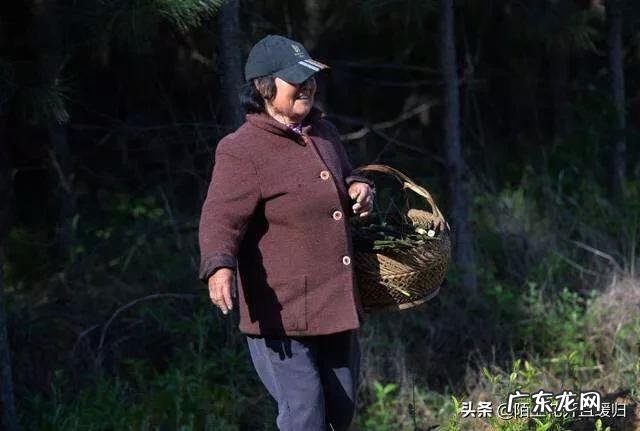 适合老人在农村做的生意？ 农村一老人在家，你是选择在家创业，还是在外创业？