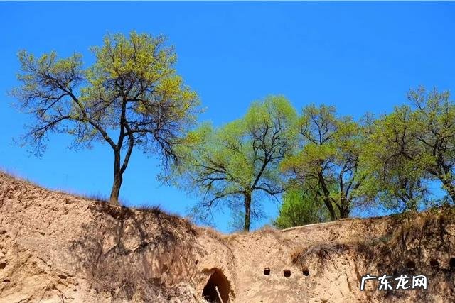 适合老人在农村做的生意? 农村一老人在家,你是选择在家创业,还是在外创业?