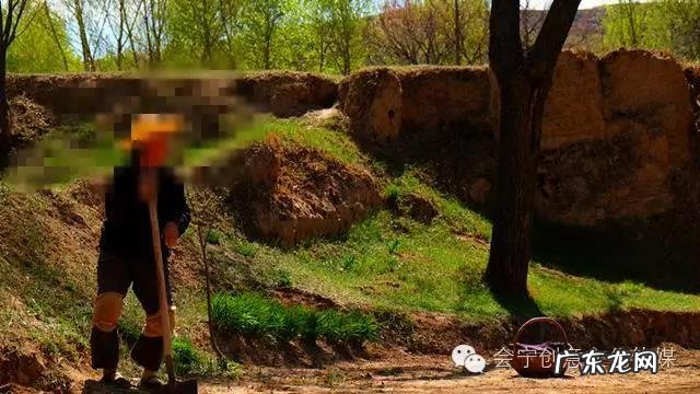 适合老人在农村做的生意? 农村一老人在家,你是选择在家创业,还是在外创业?