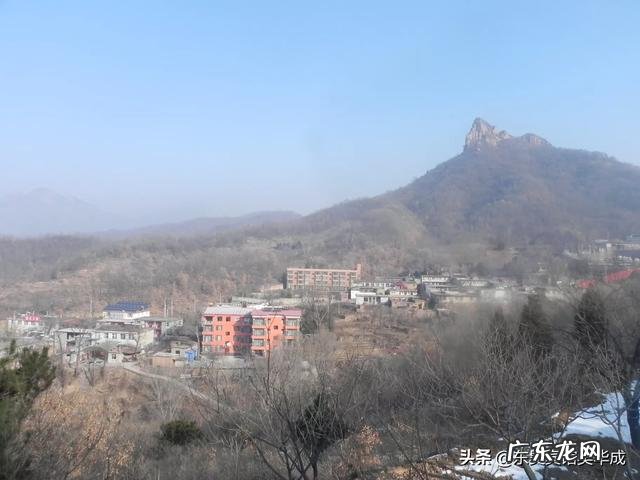 农村干什么行业能挣钱? 农村人有200万在家创业,干什么行业最挣钱?