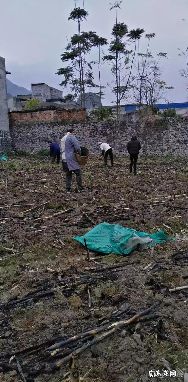 农村干什么行业能挣钱? 农村人有200万在家创业,干什么行业最挣钱?